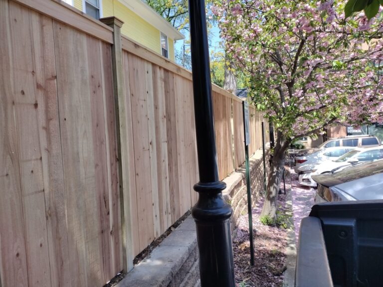 Flat Top- Cedar- NW DC