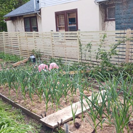 Horizontal Semi Privacy- NE DC